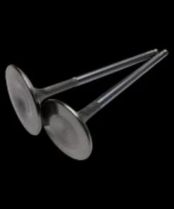 TPR Industry RZR BC Inconel Exhaust Valves (+3.8MM)